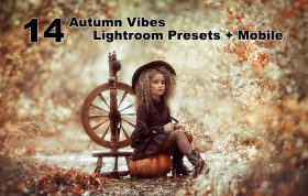 ۱۴ پریست لایت روم حرفه ای تم پاییز Autumn Vibes Lightroom Presets + Mobile (1)