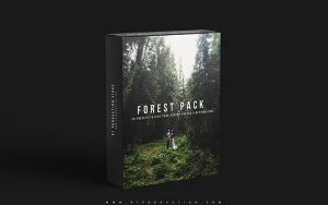 ۲۰ پریست رنگی حرفه ای لایت روم تم جنگل سبز K1 Forest Pack Presets