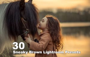 ۳۰ پریست رنگی لایت روم حرفه ای تم قهوه ای Sneaky Brown Lightroom Presets