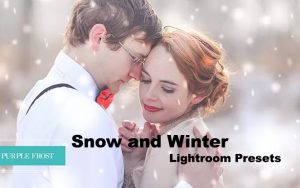 ۳۲ پریست رنگی زمستانی لایت روم و براش لایتروم Snow and Winter Lightroom Presets