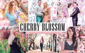 ۳۴ پریست لایت روم و Camera Raw و اکشن فتوشاپ تم شکوفه گیلاس Cherry Blossom Lightroom Presets