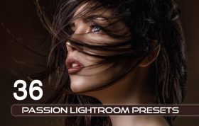 ۳۶ پریست لایت روم حرفه ای فشن و مدلینگ Passion Lightroom Presets