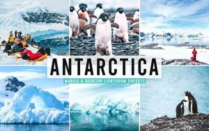 ۴۰ پریست لایت روم و پریست Camera Raw و اکشن فتوشاپ تم قطب جنوب Antarctica Pro Lightroom Presets