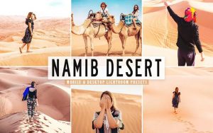 ۴۰ پریست لایت روم و پریست Camera Raw و اکشن فتوشاپ صحرای نامیب Namib Desert Pro Lightroom Presets