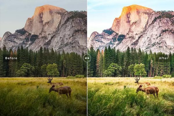 ۴۰ پریست لایت روم و پریست Camera Raw و اکشن فتوشاپ یوسمتی کالیفرنیا Yosemite Pro Lightroom Presets