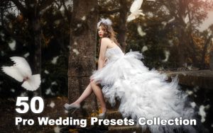 ۵۰ پریست آماده رنگی لایت روم عروسی Pro Wedding Presets Collection
