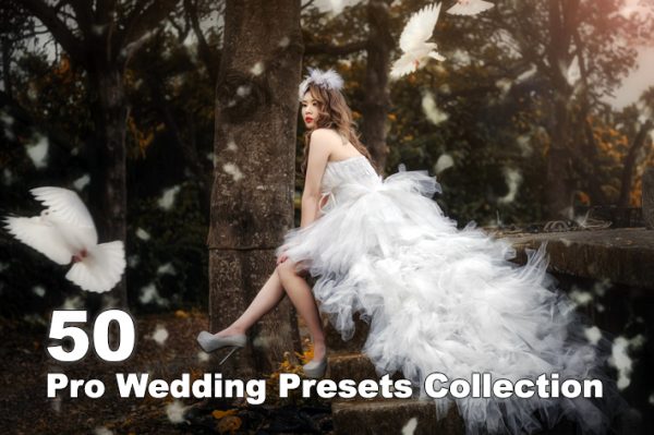 ۵۰ پریست آماده رنگی لایت روم عروسی Pro Wedding Presets Collection