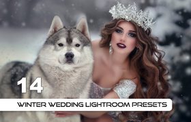 14 پریست لایت روم عروسی زمستانی Winter Wedding Lightroom Presets