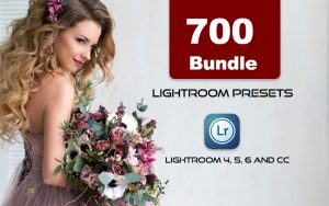 700 پریست رنگی لایت روم حرفه ای عکاسی 2021 Lightroom Presets Bundle