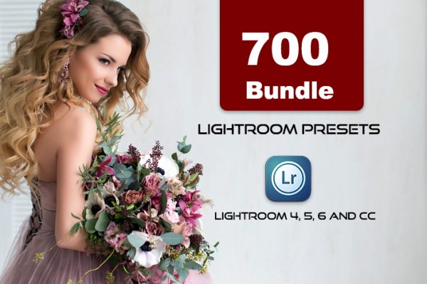 700 پریست رنگی لایت روم حرفه ای عکاسی 2021 Lightroom Presets Bundle