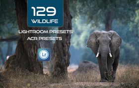 129 پریست لایت روم رنگی حیوانات و پریست کمراراو Wildlife Lightroom ACR Presets