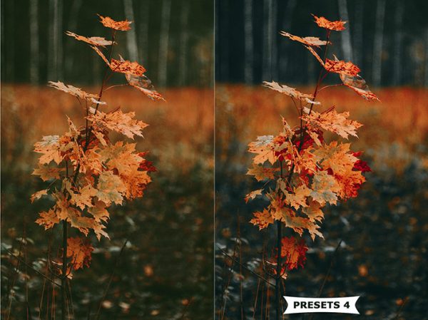 10 پریست لایت روم رنگی عکس پاییز Autumn Lightroom Presets