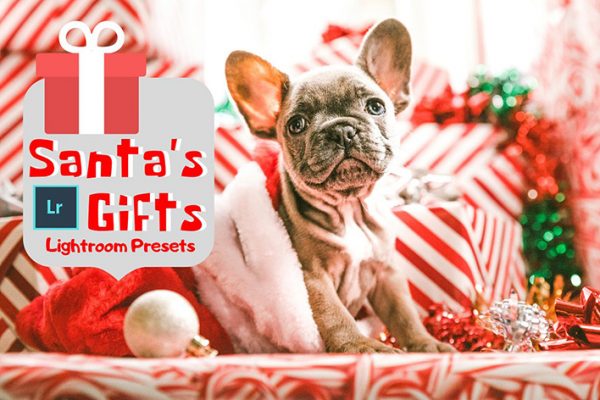 20 پریست لایت روم حرفه ای تم هدیه کریسمس Santa's Gifts Lightroom Presets