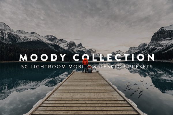 150 پریست لایت روم و لات رنگی حرفه ای Moody Lightroom Presets and LUTs