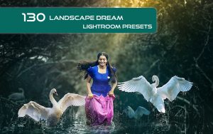 130 پریست لایت روم طبیعت تم رویایی Lanscape Dream Lightroom Presets