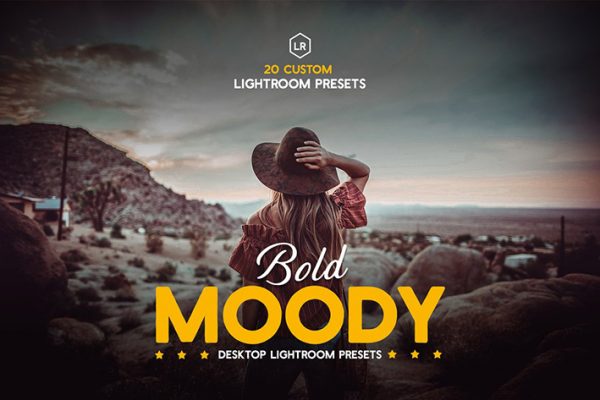 20 پریست لایت روم رنگی حرفه ای Bold Moody Lightroom Presets