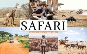 34 پریست لایت روم سفر آفریقا و کمراراو و اکشن کمرا راو فتوشاپ Safari Lightroom Presets