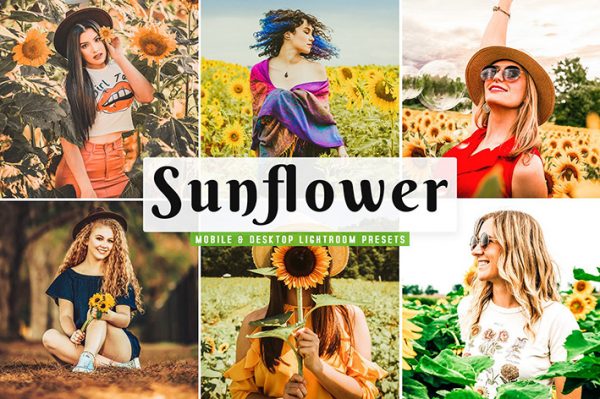 34 پریست لایت روم پرتره و Camera Raw و اکشن کمرا راو فتوشاپ گل آفتابگردان Sunflower Lightroom Presets