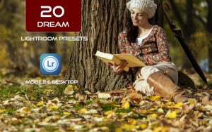 20 پریست لایت روم حرفه ای رنگی تم رویایی Dream Lightroom Presets