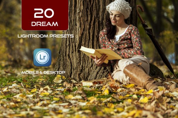 20 پریست لایت روم حرفه ای رنگی تم رویایی Dream Lightroom Presets