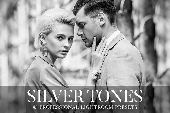 55 پریست لایت روم و براش لایت روم تم نقره ای Silver Tones Presets Lightroom