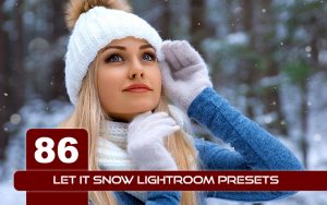86 پریست لایت روم فوق حرفه ای زمستان Let it Snow Lightroom Presets