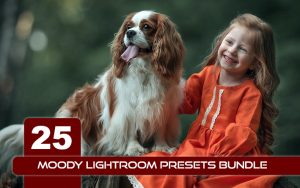 25 پریست لایت روم رنگی حرفه ای Moody Lightroom Presets Bundle