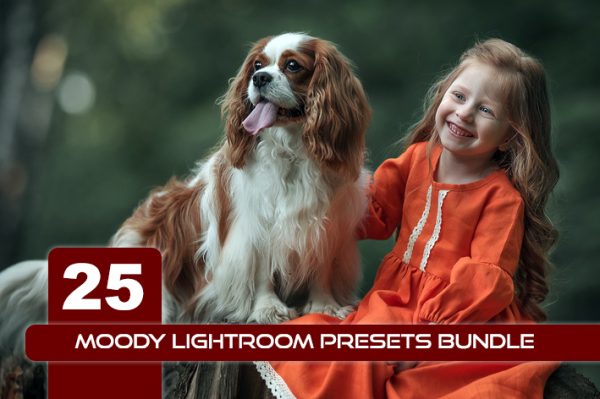25 پریست لایت روم رنگی حرفه ای Moody Lightroom Presets Bundle