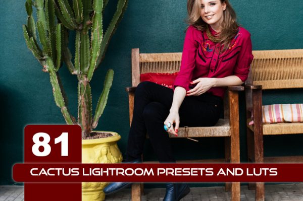 81 پریست لایت روم و لات رنگی و اکشن فتوشاپ تم رنگ کاکتوس Cactus Lightroom Presets and LUTs