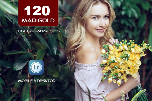120 پریست لایت روم و پریست کمرا راو فتوشاپ و LUTs تم گل همیشه بهار Marigold Lightroom Presets LUTs