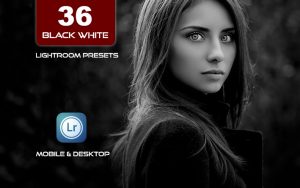 36 پریست لایت روم حرفه ای سیاه و سفید Black White Lightroom Presets