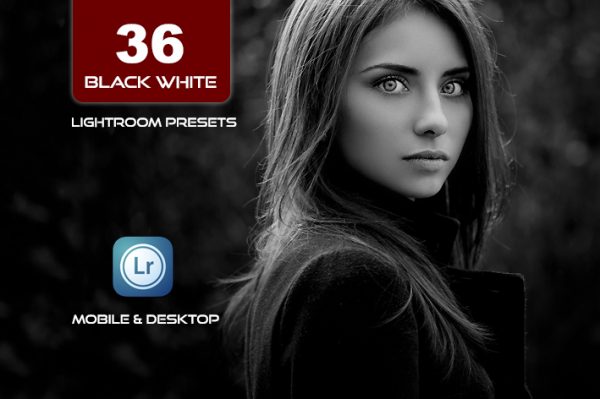 36 پریست لایت روم حرفه ای سیاه و سفید Black White Lightroom Presets