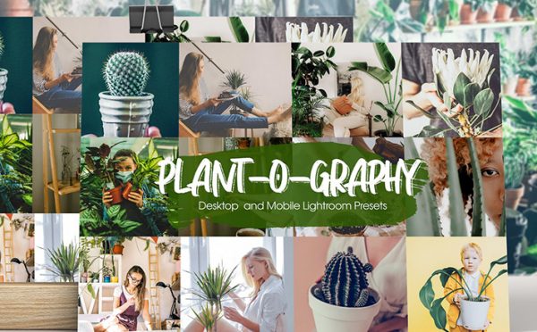 ۳۲ پریست لایت روم طبیعت تم گیاه Plant-o-graphy Lightroom Presets