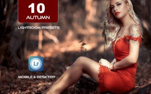 10 پریست لایت روم پاییز حرفه ای 2021 جدید Autumn Lightroom Presets