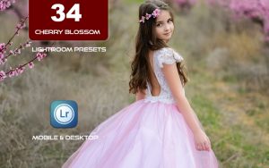 34 پریست لایت روم بهار و Camera Raw و اکشن کمرا راو فتوشاپ Cherry Blossom Lightroom Presets