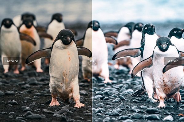 40 پریست لایت روم و کمرا راو و اکشن کمرا راو فتوشاپ تم قطب جنوب Antarctica Lightroom Presets