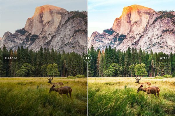 40 پریست لایت روم و کمرا راو و اکشن کمرا راو فتوشاپ تم یوسمتی کالیفرنیا Yosemite Lightroom Presets