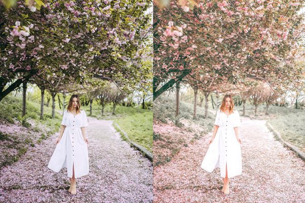 8 پریست لایت روم بهار دسکتاپ و موبایل Spring Lightroom Presets