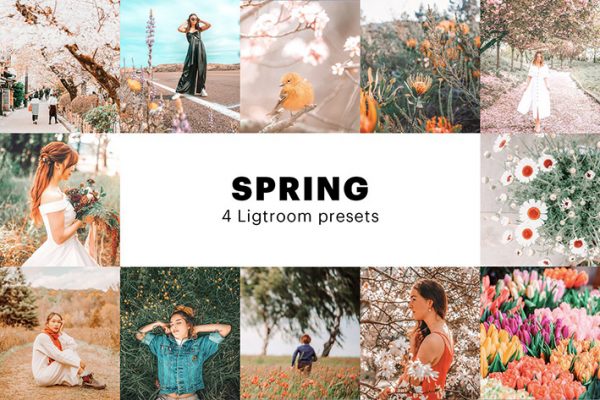 8 پریست لایت روم بهار دسکتاپ و موبایل Spring Lightroom Presets