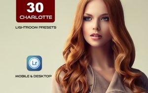 30 پریست لایت روم حرفه ای رنگی تم شکلاتی Charlotte Lightroom Preset
