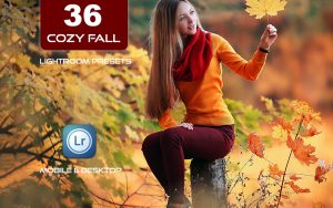 36 پریست لایت روم پاییز 2022 حرفه ای تم پائیز آرام Cozy Fall Vol 2 Lightroom Presets
