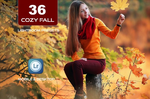 36 پریست لایت روم پاییز 2022 حرفه ای تم پائیز آرام Cozy Fall Vol 2 Lightroom Presets