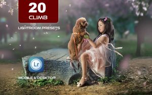 20 پریست لایت روم حرفه ای رنگی تم طبیعت زیبا Climb Lightroom Preset