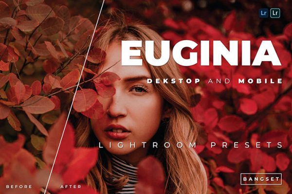 20 پریست لایت روم پرتره حرفه ای 2022 رنگی Euginia Lightroom Preset