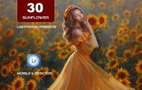 30 پریست لایت روم رنگی 2022 تم گل آفتابگردان Sunflower Lightroom Presets