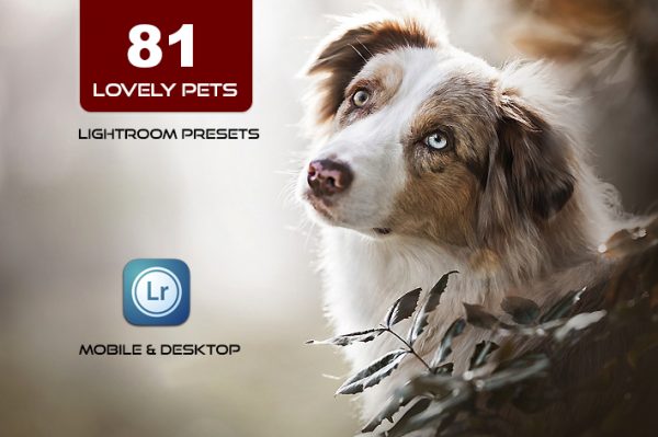 81 پریست لایت روم حیوانات دوست داشتنی و لات رنگی و اکشن فتوشاپ Lovely Pets Lightroom Presets