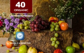 40 پریست لایت روم عکس غذا و Camera Raw و اکشن کمرا راو فتوشاپ Organic Lightroom Presets