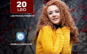 20 پریست لایت روم حرفه ای 2022 رنگی تم گرم Leo Lightroom Presets