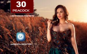 30 پریست لایت روم 2022 رنگی حرفه ای تم طاووس Lightroom Presets Peacock Presets