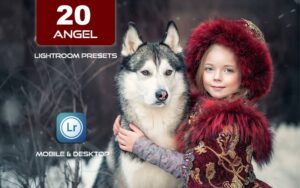 20 پریست لایت روم حرفه ای 2022 رنگی تم فرشته Angel Lightroom Presets